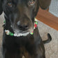 "Cinco de Mayo" Beaded Dog Collar
