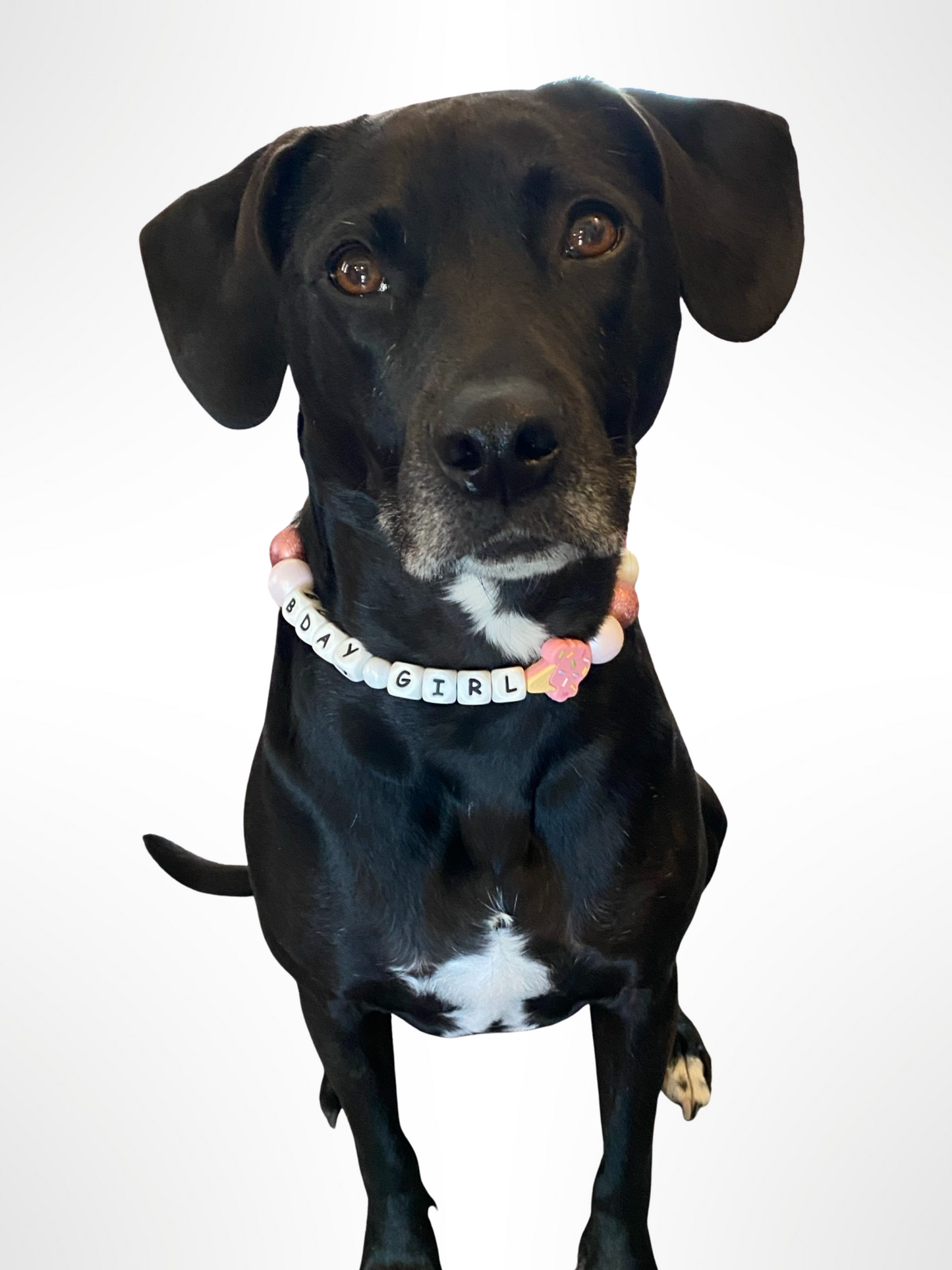 "Birthday Girl" Beaded Dog Collar