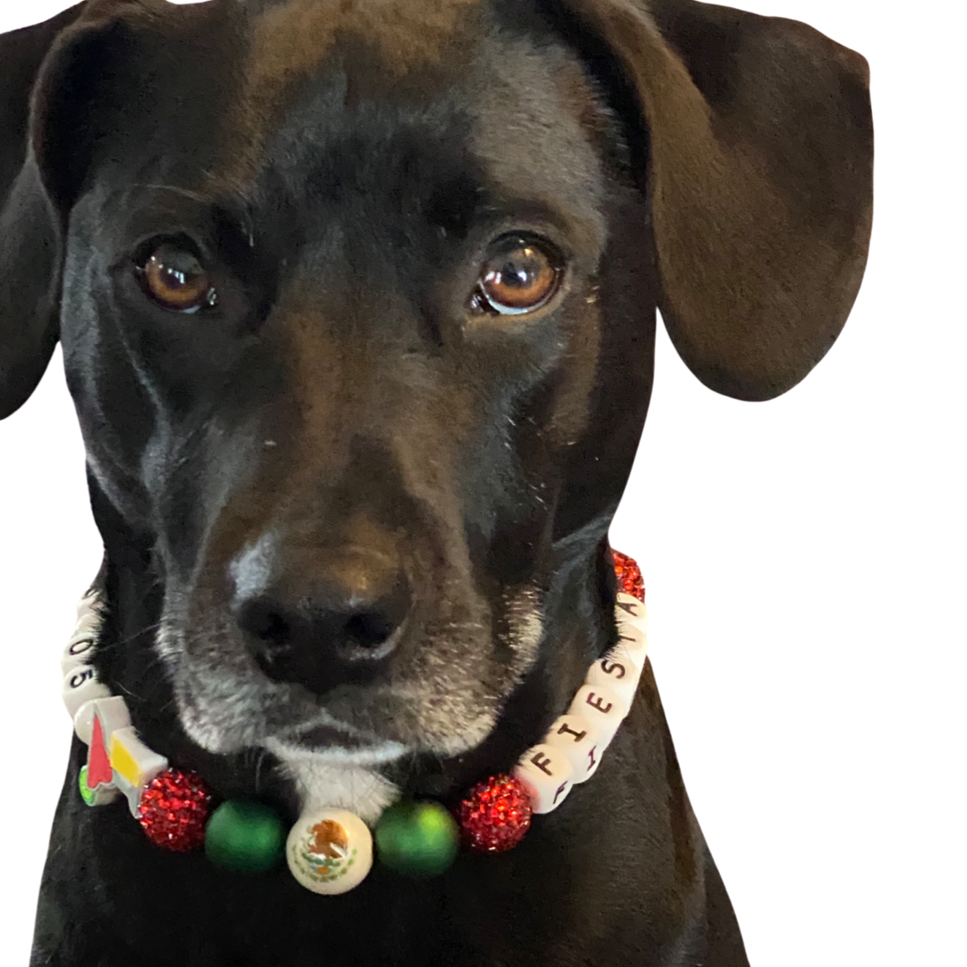 "Cinco de Mayo" Beaded Dog Collar